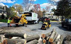 Best Arborist Consultation Services  in Fort Shawnee, OH