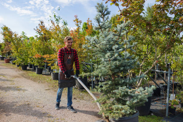 Mulching Services in Fort Shawnee, OH